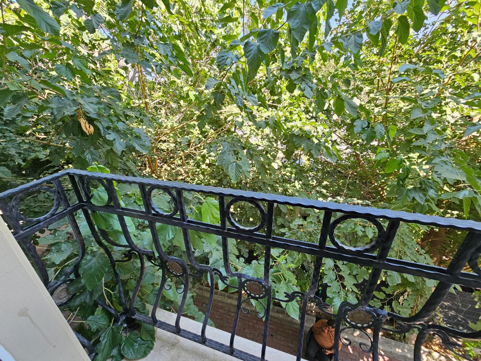 Park Palace Hotel Kyrenia (Northern Cyprus) Exterior foto